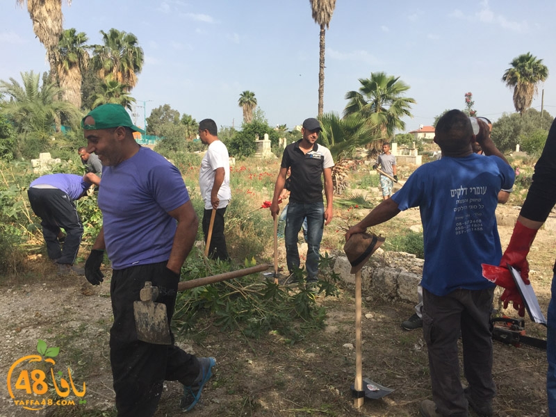 7amla lud maqbara (9).jpg